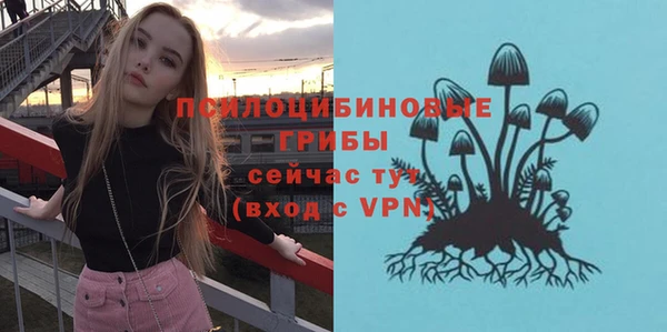 мяу мяу мука Алзамай