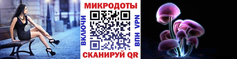 гидра ТОР  Андреаполь  Псилоцибиновые грибы GOLDEN TEACHER 